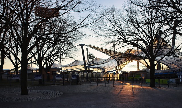 的盈利能力 的盈利能力