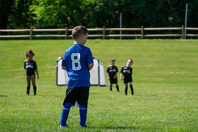 始终占据主 始终占据主