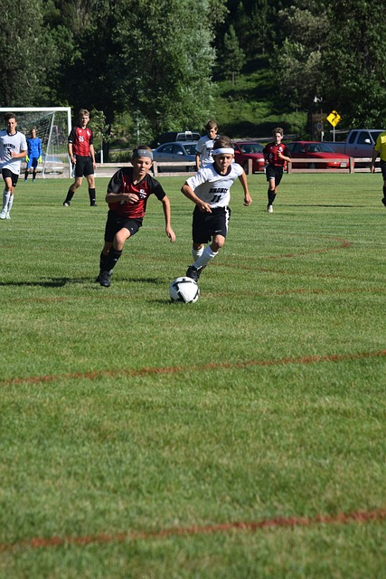 布雷斯特的 布雷斯特的