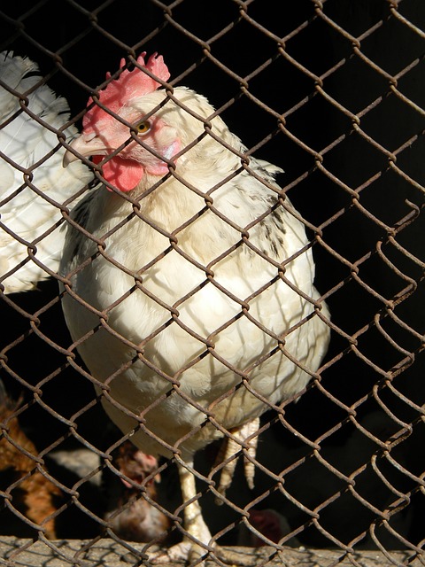 几乎统治联 几乎统治联