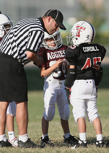 元化发展趋 元化发展趋